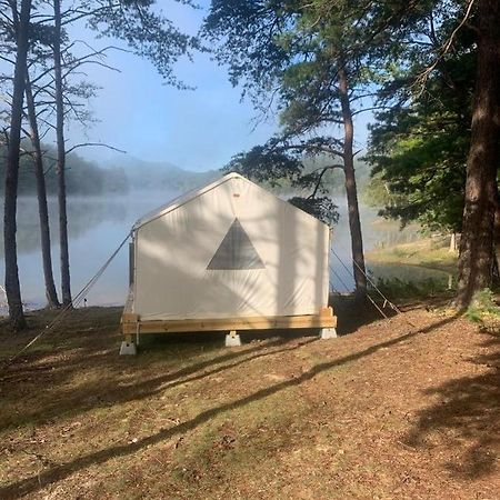 Tentrr Signature - Water'S Edge Campsite On Sunset Cove Pulaski Eksteriør billede