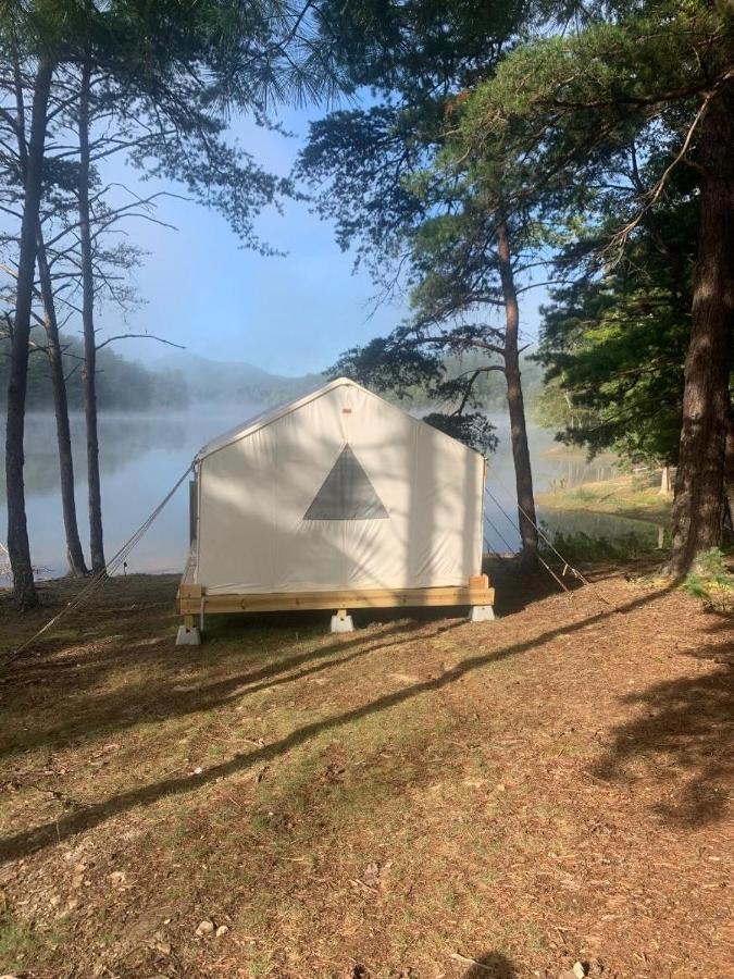 Tentrr Signature - Water'S Edge Campsite On Sunset Cove Pulaski Eksteriør billede